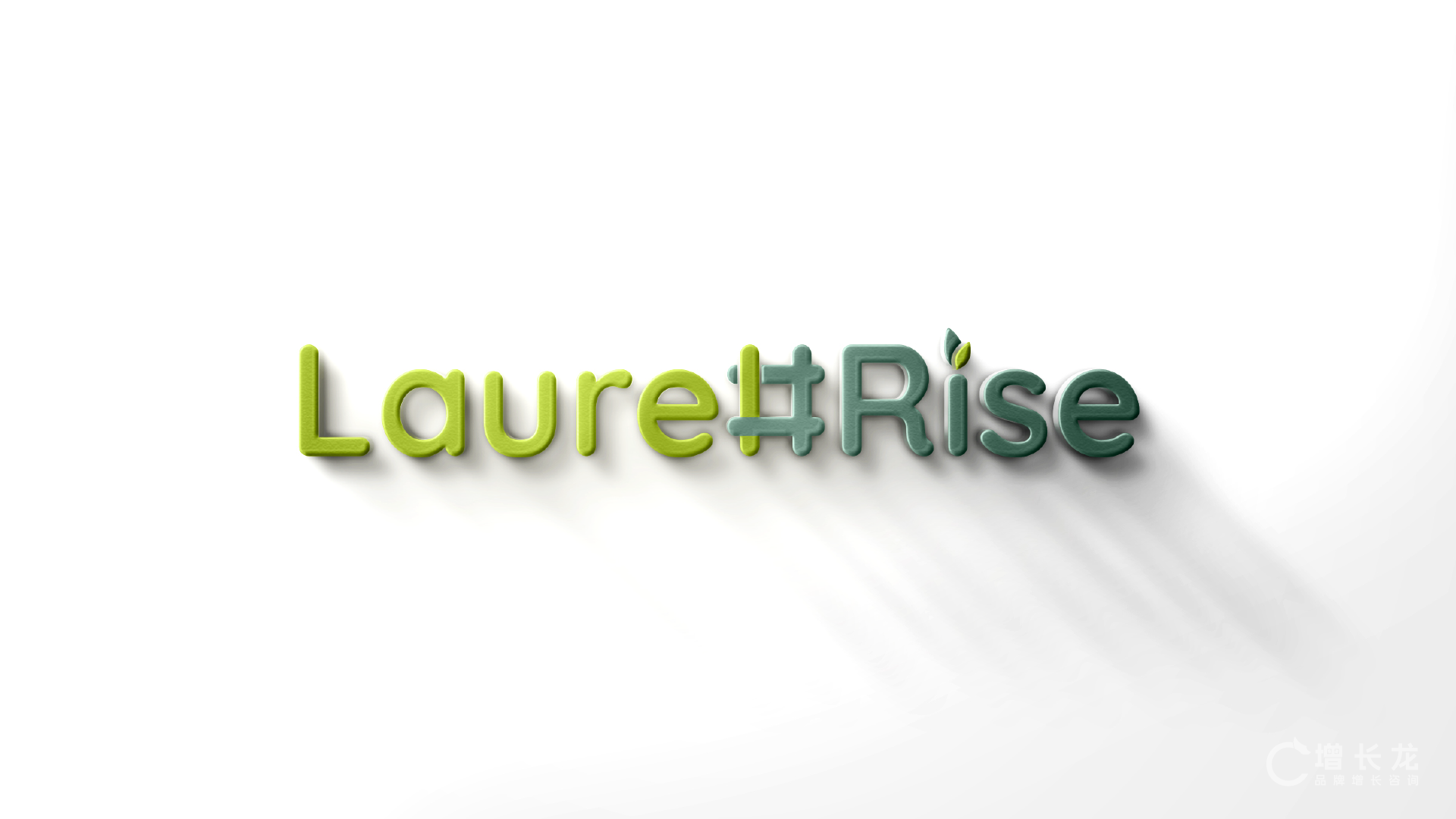 LaurelRise 万桂腾达 项目视觉与应用展示 09