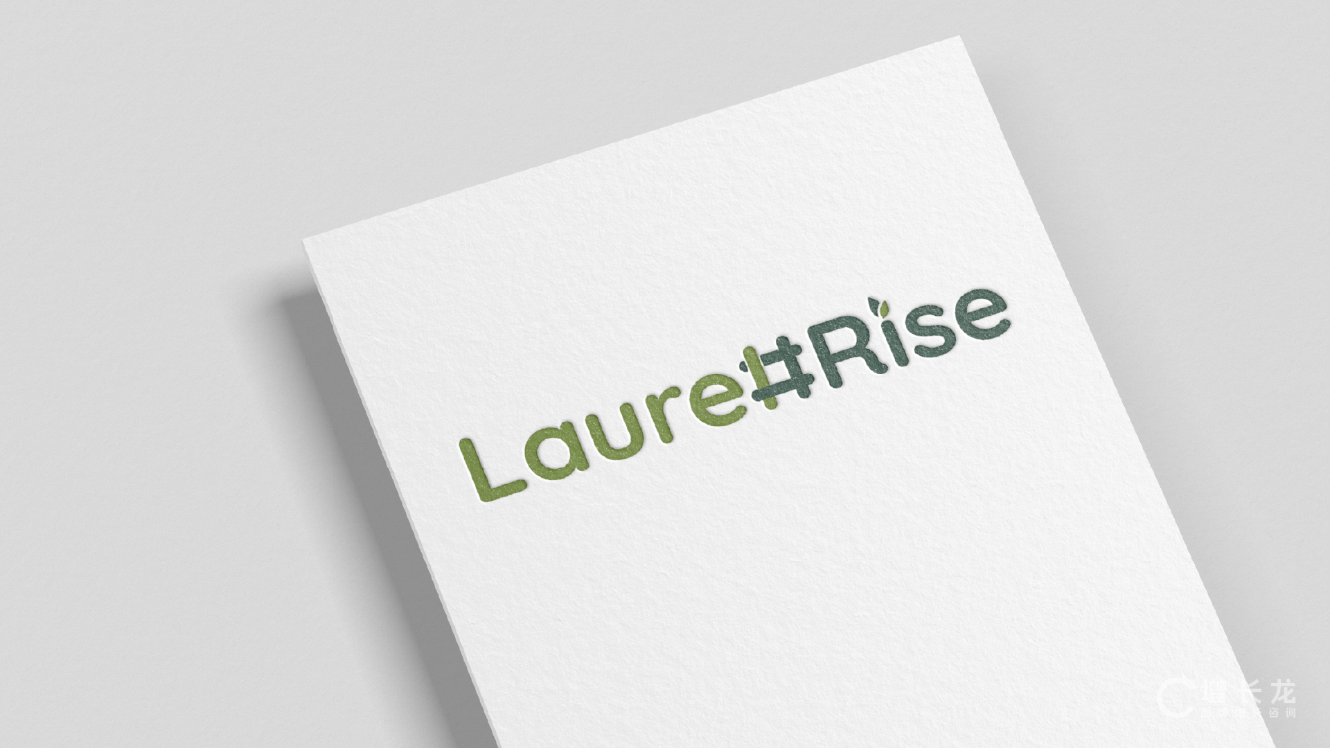 LaurelRise 万桂腾达 项目视觉与应用展示 11