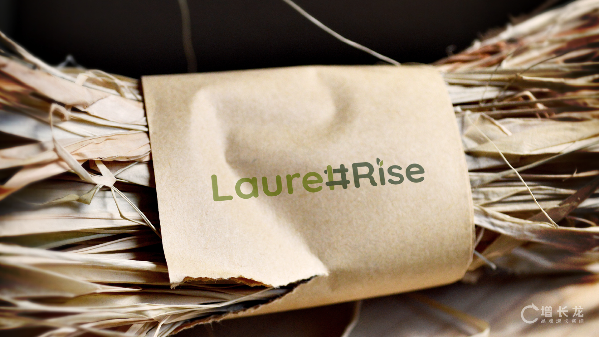 LaurelRise 万桂腾达 项目视觉与应用展示 13